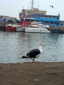 Hafen von Essaouira